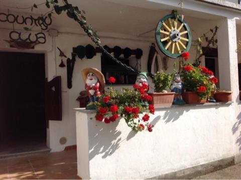 Peter Ranch 3 Apartment Vico Canavese Exterior photo